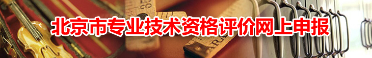 北京市专业技术资格评价网上申报